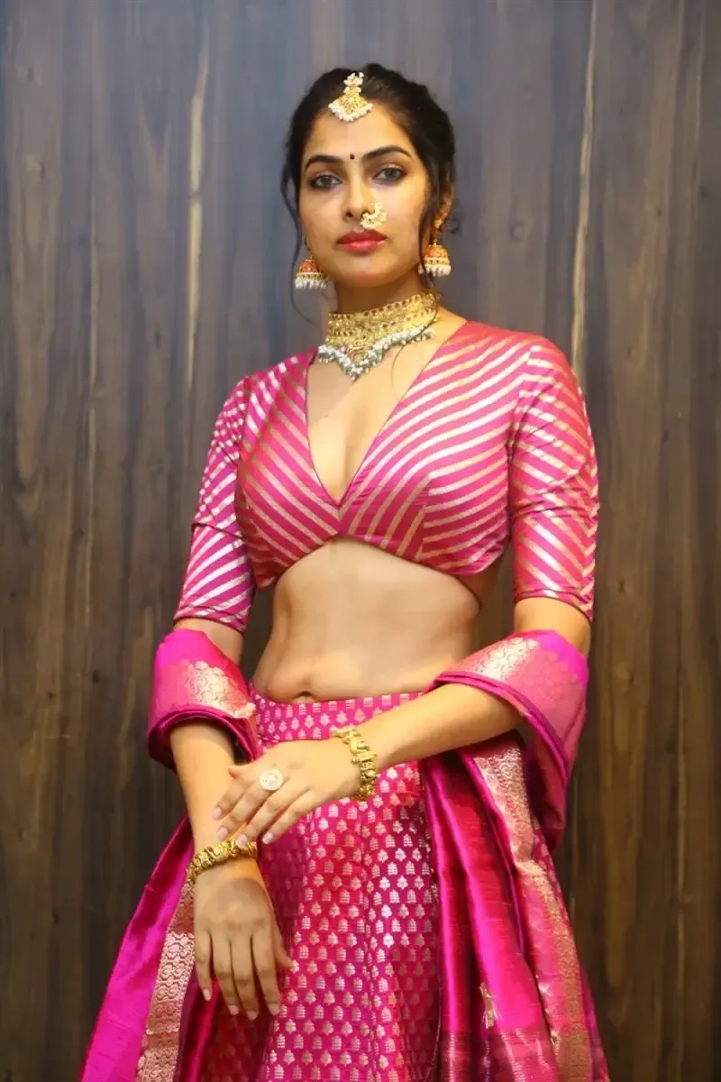 TELUGU ACTRESS DIVI VADTHYA AT RUDRANGI MOVIE PRE RELEASE EVENT 14